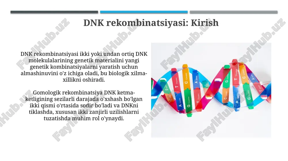 lana oladi va 100 dan 10000 tagacha asosiy juftlikni o'z ichiga oladi. v(d)j rekombinatsiyasi v(d)j rekombinatsiyasi immunoglobulinlar va t hujayra retseptorlarining xilma-xilligini yaratadigan genetik rekombinatsiya mexanizmi boʻlib, 10^18 xil antitel hosil bo'lishiga olib keladi. ushbu jarayon somatik rekombinatsiya boʻlib, germ liniyasida sodir bo'lmaydi, balki limfotsitlar rivojlanayotganida sodir boʻladi va v(d)j gen segmentlarini tasodifiy ravishda birlashtiradi. rekombinatsiyaning mexanizmlari dnk rekombinatsiyasining asosiy mexanizmlaridan biri gomologik rekombinatsiya bo'lib, u ikki xil dnk molekulasining o'xshash ketma-ketliklari o'rtasida genetik material almashinuvini o'z ichiga oladi. nogomologik uchlarni qo'shish (nhej) - bu dnkning ikki tomonlama sinishini tiklashning yana bir mexanizmi bo'lib, dnk uchlarini qayta ishlash va ularni biriktirish orqali amalga oshiriladi. reca oqsili reca oqsili dnk rekombinatsiyasi va tiklanishida muhim rol o'ynaydi, bu yerda u dnk duplekslari o'rtasida homologik izlash va strand almashinuvini katalizlaydi. reca oqsili filament hosil qiladi, bu erda uch nukleotidning takrorlanishi, ayniqsa, 33-35 pozitsiyalar, filamentning dinamikasi va dnk bog'lanishiga katta ta'sir ko'rsatadi. rekombinatsiyaning ahamiyati …