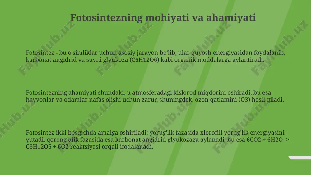 fotosintez - Page 3
