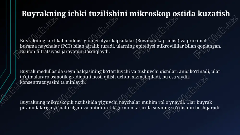 poyaning ichki tuzilishini mikroskop ostida kuzatish - Page 3