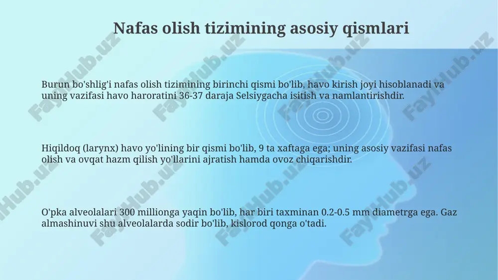 nafas a'zolari anatomyasi - Page 3
