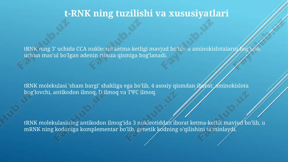 t-rnk - Page 3