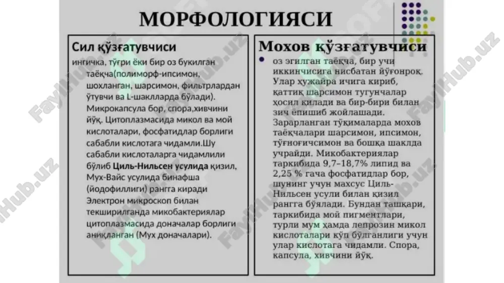 moxov - Page 3