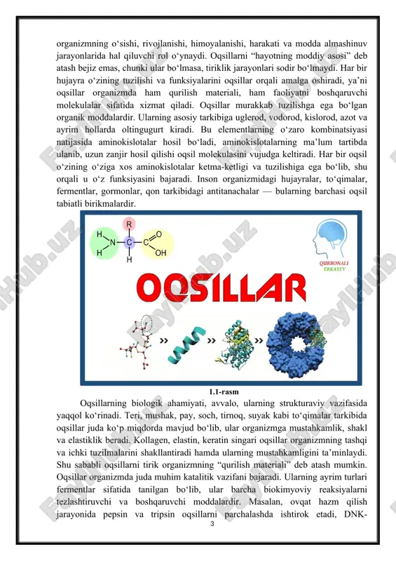 entlar, gormonlar, qon tarkibidagi antitanachalar — bularning barchasi oqsil tabiatli birikmalardir. 1.1-rasm oqsillarning biologik ahamiyati, avvalo, ularning strukturaviy vazifasida yaqqol ko‘rinadi. teri, mushak, pay, soch, tirnoq, suyak kabi to‘qimalar tarkibida oqsillar juda ko‘p miqdorda mavjud bo‘lib, ular organizmga mustahkamlik, shakl va elastiklik beradi. kollagen, elastin, keratin singari oqsillar organizmning tashqi va ichki tuzilmalarini shakllantiradi hamda ularning mustahkamligini ta’minlaydi. shu sababli oqsillarni tirik organizmning “qurilish materiali” deb atash mumkin. oqsillar organizmda juda muhim katalitik vazifani bajaradi. ularning ayrim turlari fermentlar sifatida tanilgan bo‘lib, ular barcha biokimyoviy reaksiyalarni tezlashtiruvchi va boshqaruvchi moddalardir. masalan, ovqat hazm qilish jarayonida pepsin va tripsin oqsillarni parchalashda ishtirok etadi, dnk-polimeraza hujayra bo‘linishida genetik axborotni ko‘paytiradi. agar fermentlar bo‘lmasa, hayot uchun zarur bo‘lgan biokimyoviy jarayonlar nihoyatda sekin kechgan bo‘lardi. oqsillar transport vazifasini ham bajaradi. eng mashhur misol sifatida gemoglobinni keltirish mumkin, u qonda kislorodni o‘pkadan barcha to‘qimalarga tashiydi, karbonat angidridni esa qaytarib o‘pkaga olib boradi. mioglobin esa mushaklarda …