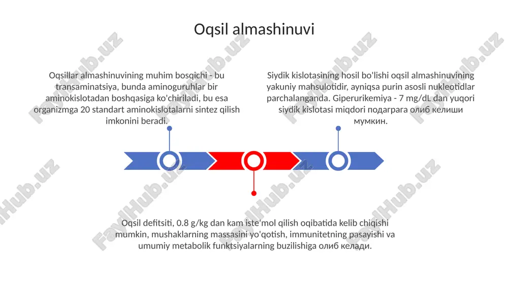oqsil va suv.tuz almashinuvi - Page 3