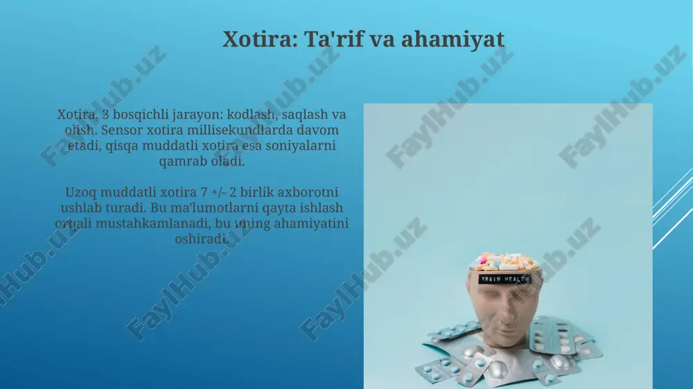 o'zlar ma'nosini, shuningdek, 100 dan ortiq atamalarni eslab qolishni o'z ichiga oladi, shaxsiy tajribadan farqli o'laroq umumiy bilimlarni saqlaydi. alzgeymer kasalligi kabi holatlarda semantik xotira buzilishi kuzatiladi, bemor 250 dan ortiq oddiy narsalarning nomini eslay olmaydi, bu esa kundalik vazifalarni qiyinlashtiradi. xotira buzilishlari: amnesiya anterograd amneziya yangi xotiralarni shakllantirish qobiliyatini yo'qotishni anglatadi; bemorlar 5 daqiqadan so'ng suhbatni eslay olmaydilar, lekin eski voqealarni eslay olishlari mumkin. retrograd amneziya xotira yo'qolishining bir turi bo'lib, unda 10 yil oldingi voqealar kabi, amneziyaga olib kelgan hodisadan oldin sodir bo'lgan voqealarni eslash qobiliyati yo'qoladi. anterograd amneziya anterograd amneziya - bu yangi xotiralarni shakllantirish qobiliyatining yo'qolishi, ya'ni 2 daqiqa oldin nima bo'lganini eslay olmaslik, lekin uzoq yillik xotiralar saqlanib qolishi mumkin. odatda, anterograd amneziyaga hippocampal shikastlanish sabab bo'ladi, bu esa xotirani kodlash va mustahkamlash jarayonini buzadi, chunki 70-80% hollarda bu bilan bog'liq. retrograd amneziya retrograd amneziya, ko'pincha travmatik miya shikastlanishidan keyin yuzaga keladi, bunda bemor hodisadan …