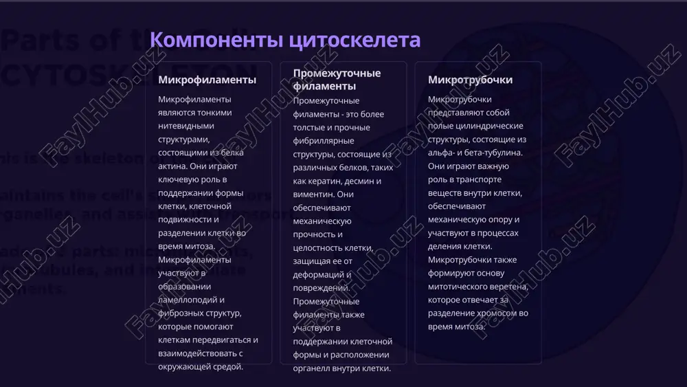 ol v podderjanii formi kletki, uchastvuyut v vnutrikletochnom transporte, obespechivayut dvijenie xromosom v protsesse mitoza i meyoza, a takje uchastvuyut v formirovanii resnitchatogo apparata i jgutikov. mikrotrubochki neprerivno sobirayutsya i razbirayutsya za schet polimerizatsii i depolimerizatsii tubulina. etot dinamicheskiy protsess pozvolyaet mikrotrubochkam bistro perestraivatsya v sootvetstvii s potrebnostyami kletki. mikrotrubochki imeyut polyarnuyu strukturu, s bistrorastushim plyus-kontsom i medlennorastushim minus-kontsom. pomimo tubulina, v sostav mikrotrubochek vxodyat razlichnie assotsiirovannie belki, kotorie reguliruyut ix formirovanie, stabilnost i vzaimodeystvie s drugimi komponentami kletki. narushenie strukturi ili dinamiki mikrotrubochek mojet privesti k sereznim patologiyam, takim kak neyrodegenerativnie zabolevaniya, vrojdennie defekti razvitiya i razlichnie tipi raka. 6 rol tsitoskeleta v kletochnoy strukture opornaya struktura tsitoskelet igraet klyuchevuyu rol v podderjanii formi i tselostnosti kletki. on deystvuet kak svoego roda "skelet", pridavaya kletke mexanicheskuyu oporu i ustoychivost. blagodarya seti mikrofilamentov, promejutochnix filamentov i mikrotrubochek, tsitoskelet obespechivaet kletke neobxodimuyu strukturnuyu jestkost, pozvolyaya ey protivostoyat deformatsiyam i vneshnemu davleniyu. …