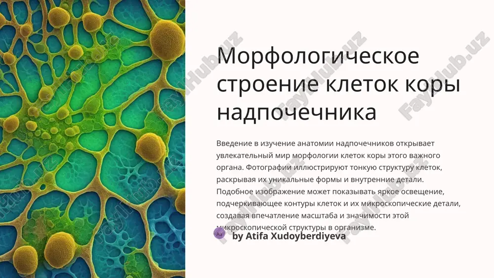 iyanie stressa na rabotu kori nadpochechnika 1 fazi reaktsii na stress rabota kori nadpochechnika v period stressa proxodit cherez neskolko faz. v nachalnoy faze nablyudaetsya aktivatsiya sekretsii kortikosteroidov - glavnogo gormona kori nadpochechnika, otvetstvennogo za adaptatsiyu k stressovim situatsiyam. v techenie etoy fazi organizm pereklyuchaetsya na mobilizatsiyu energii dlya podgotovki k borbe ili begstvu. 2 ingibirovanie immunnoy sistemi dlitelniy ili silniy stress mojet privesti k ingibirovaniyu immunnoy sistemi organizma, chastichno blagodarya deystviyu kortizola. eto mojet povisit risk dlya zdorovya, osobenno v dlitelnoy perspektive, tak kak oslablenniy immunitet mojet uvelichit uyazvimost k infektsiyam i zabolevaniyam. 3 vozdeystvie na psixicheskoe zdorove vliyanie stressa na rabotu kori nadpochechnika takje svyazano s psixicheskim zdorovem. povishennie urovni gormonov, takix kak kortizol, v dolgosrochnoy perspektive mogut uvelichit risk razvitiya trevojnix rasstroystv i depressii pri postoyannom stresse. 8 vozdeystvie gormonov na organizm vo vremya stressa gormoni, videlyaemie koroy nadpochechnikov, igrayut vajnuyu rol v regulyatsii organizma vo vremya …