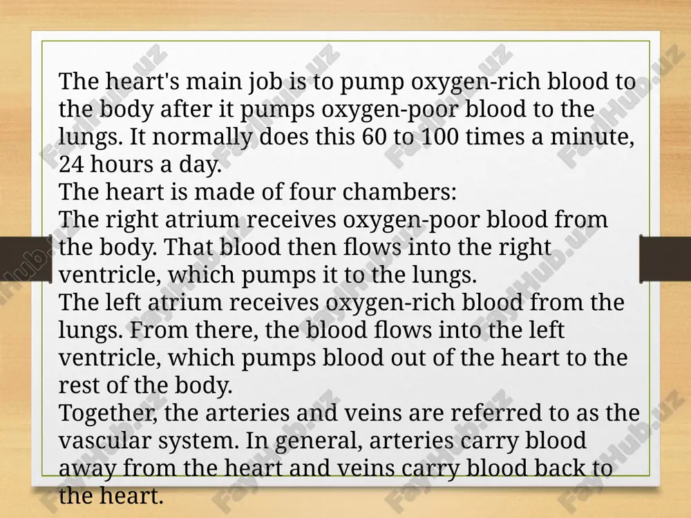 cardiovascular medicine - Page 3
