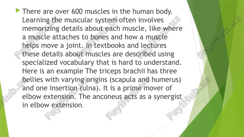 et-like aponeurosis. the tendon and aponeurosis form indirect attachments from muscles to the periosteum of bones or to the connective tissue of other muscles. typically a muscle spans a joint and is attached to bones by tendons at both ends. one of the bones remains relatively fixed or stable while the other end moves as a result of muscle contraction.s for the passage of blood vessels and nerves. thank you for your attention image1.png image2.png image3.png image4.png image5.png /docprops/thumbnail.jpeg