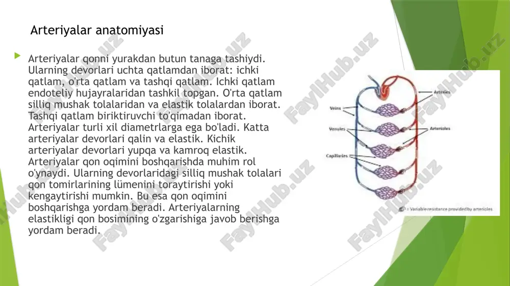 mkin. arteriyalar kasalliklari ateroskleroz juda keng tarqalgan kasallikdir. uning tarqalishi yosh, jins, irqiy kelib chiqishi va turmush tarziga bog'liq. erkaklarda ateroskleroz ayollarga qaraganda ko'proq uchraydi. yosh o'tishi bilan aterosklerozning xavfi ortadi. chekish, yuqori xolesterin, yuqori qon bosimi va diabet ateroskleroz xavfini oshiradi. aterosklerozning oldini olish uchun sog'lom turmush tarziga rioya qilish kerak. bu sog'lom ovqatlanish, muntazam jismoniy mashqlar va chekishdan saqlanishni o'z ichiga oladi. erta diagnostika va davolanish aterosklerozning og'ir asoratlarini oldini olishga yordam beradi. aterosklerozning tarqalishi arteriyalar kasalliklarini davolash usullari kasallikning turiga va og'irligiga bog'liq. ba'zi hollarda turmush tarzini o'zgartirish yetarli bo'ladi. bularga sog'lom ovqatlanish, muntazam jismoniy mashqlar va chekishdan saqlanish kiradi. boshqa hollarda dorilar kerak bo'lishi mumkin. masalan, statinlar xolesterin miqdorini pasaytirish uchun qo'llaniladi. ace inhibitörleri qon bosimini pasaytirish uchun qo'llaniladi. og'ir hollarda jarrohlik amaliyoti kerak bo'lishi mumkin. masalan, angioplastika va koronar arteriya shuntirovaniyasi. arteriyalar kasalliklarining davolash usullari arteriyalar qon aylanish tizimining muhim qismidir. ular qonni yurakdan butun …