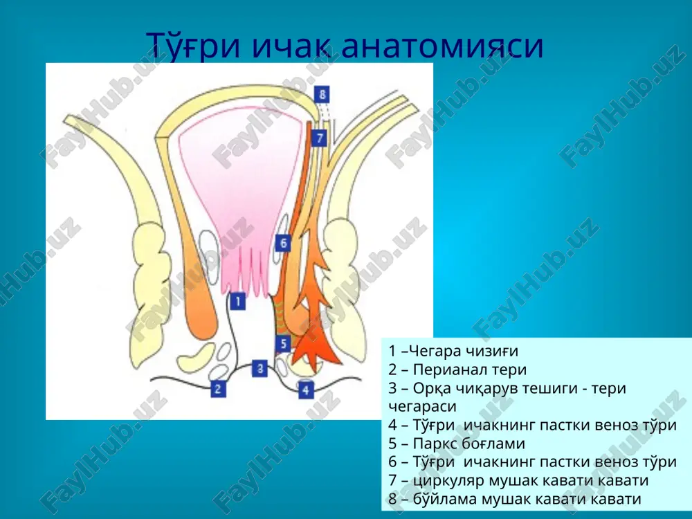 ki gemrroidal tugunlar engil shishgan va fakat proktoskop orkali kurish mumkin ikkinchi davrda tugun orka chikaruv teshigidan zurikkanda chikadi va keyin uz joyiga tushadi uchinchi davrda orka chikaruv eshigidan chikan gemrroidal tugunlar mustakil uz joyiga tushmaydi va fakat bosim ostida uz joyiga tushirish mumkin turtinchi davrda va boism ostida xam tugunlarni uz joyiga tushirish iloji yuk gemorroy davosi konservativ (vannochkalar, gemorroidal venalar tromboflebitida medikamentoz davo va skleroterapiya) xirurgik gemorroidal tugunlar skleroterapiyasi birinchi marta 1869 yilda kilingan 1 va 2 davrlarida effektiv 4 yil ichida 30% gacha retsidiv berishi mumkin gemorroidal tugunlarni rezina xalkalar bilan boglash orka chikaruv teshigidan 2 sm proksimal boglanadi to'²ri ichak shillik kavati nekrozini va chandiklanishini chakiradi va retsidiv sonini kamaytiradi 96% 1 – oy davomida simtomsiz (ogriklarsiz) gemorroy xirurgik davosi milugan morgan operatsiyasi. parks operatsiya rijix operatsiyasi milugan morgan operatsiyasi uchala gemorroidal tugunlar boglanib kesiladi parks operatsiyasi tugun ichkaridan anodermadan va tashkaridan ichki sfinkterdan ajratilib kesiladi …