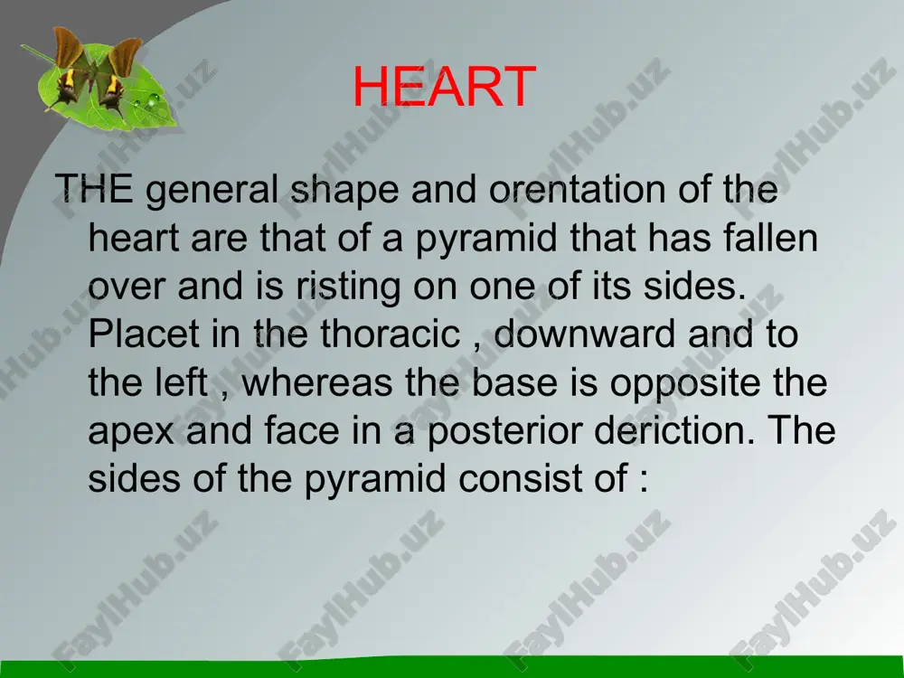 heart diagram - Page 3