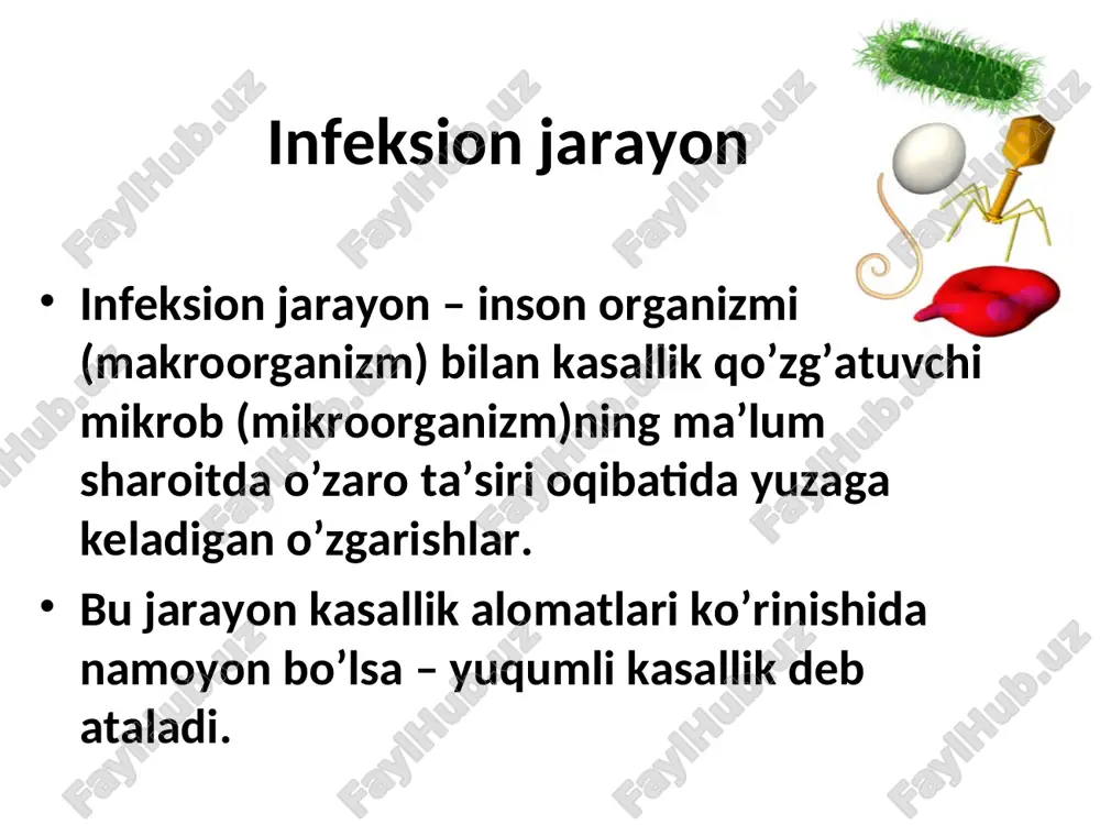 ib turmaydi. teri bosilsa yo’qoladi, iz qoldirmaydi. petexiya – teri orasiga qon quyilishi natijasida paydo bo’ladi. papula – teri yuzidan biroz bo’rtib turadi. vezikula – ichida tiniq suv tutadigan mayda pufakchalar. eritema – ma’lum kattalikda terida yaxlit qizarish. allergik toshmalar. ba’zi yuqumli kasalliklarda terida turli toshmalar – ekzantemalar paydo bo’ladi. ichki a’zolar yoki shilliq qavatlardagi toshmalar – enantemalar deb ataladi. yuqumli kasalliklarda organizmning mikrobga nisbatan javob reaksiyasi bu – tana harorati ko’tarilishidir. davomiyligi bo’yicha: yuqori tana harorati bo’yicha: doimiy isitma – tº bir necha kun baland bo’ladi. ertalabki isitma kechqurungisidan pastroq bo’ladi, lekin ularning farqi 1ºc dan oshmaydi (ich terlama, toshmali tif). remittirlovchi isitma - tº bir necha kun baland bo’ladi. ertalabki va kechqurungi isitmalar farqi 1ºc dan oshadi (sepsis, sil). intermittirlovchi (almashinib turuvchi) isitma – tº birdan 39-40ºc gacha ko’tarilib, kun davomida normagacha tushadi. farqi 3-4ºc ni tashkil qiladi (bezgak). qaytalovchi isitma – yuqori isitma davri normal tana haroratli …