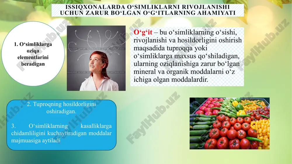 ng 40%, fosforning 80 %, azotning 50% va kaliyning 85% i go‘ng tarkibiga o‘tadi. go‘ng tarkibidagi oziq moddalar miqdori chorva molining turi va yoshi, beriladigan yem-xashak tarkibiga bog‘liq ravishda keng miqyosda o‘zgaradi. kompostlarni (har xil organik qoldiqlar aralashmasi) tayyorlashda fosfor o’g’iti ham qo’shiladi va alohida joyga (chuqur bo’lmagan o’ra, katta hajmdagi maxsus moslamalar) yig’ilib ustidan suyuq go’ng yoki suv quyilib bostirib qo’yiladi. torfni (to’liq chirimagan, botqoqlikda o’sadigan o’simliklar qoldig’i) odatda go’ngga qo’shib dalaga sepish (shudgordan oldin) foydalidir. qushlar axlati tarkibida ozuqa moddalar go’ngga nisbatan ko’p. ammo tarkibidagi azot tez uchib ketadi. shuning uchun uni quruq joyda ustiga tuproq yoki torf yopib saqlash kerak. dalaga har bir gektarga 2—4 tonna solish mumkin. go‘ng (mol, qo‘y, ot go‘ngi) — sabzavot ekinlar uchun muhim organik o‘g‘it uning tarkibida o‘simliklar uchun zarur bo‘lgan azot (n), fosfor (p₂o₅), kaliy (k₂o), kaltsiy (ca), magniy (mg) va boshqa mikroelementlar mavjud. 1. go‘ngning umumiy ahamiyati tuproqning fizik, kimyoviy …