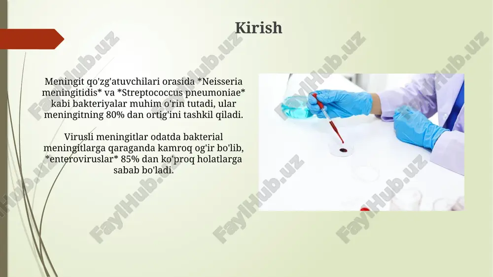 bo'lishi shart emas. laboratoriya diagnostikasi: umumiy qoidalar laboratoriya tashxisi uchun namunalar to'plash steril sharoitda amalga oshiriladi, masalan, orqa miya suyuqligi, qon; transport muddatlari 30-60 minutdan oshmasligi kerak. gram bo'yicha bo'yash usuli tezkor usul bo'lib, asosiy patogenlarni aniqlashga yordam beradi; antibiotikoterapiya boshlashdan oldin qon va orqa miya suyuqligi olinishi kerak. sezuvchanlikni aniqlash sezuvchanlikni aniqlash minimal inhibitatsiya konsentratsiyasi (mik) yoki inhibitatsiya zonasi diametrini aniqlash orqali amalga oshiriladi, bu antibiotikning o'sishni to'xtatish qobiliyatini ko'rsatadi. disk diffuziyasi usuli sezuvchanlikni aniqlashning keng tarqalgan usuli bo'lib, unda antibiotik bilan to'ldirilgan disklar agar muhitga joylashtirilsa, agar bakteriya sezgir bo'lsa, inhibitatsiya zonasini hosil qiladi. mikroskopiya mikroskopiya meningitning gram-musbat streptococcus pneumoniae va gram-manfiy neisseria meningitidis kabi asosiy qo'zg'atuvchilarini aniqlashga yordam beradi. gram bo'yash texnikasi miya suyuqligida (csf) bakterial meningitning dastlabki tashxisida muhim, chunki u bakteriyalarning shakli va bo'yalish xususiyatlarini aniqlashga imkon beradi. kultivatsiya meningit qoʻzgʻatuvchilarini kultivatsiya qilish uchun 37°c haroratda 5-10% co2 inkubatoridan foydalanish kerak, bu esa ularning oʻsishi …