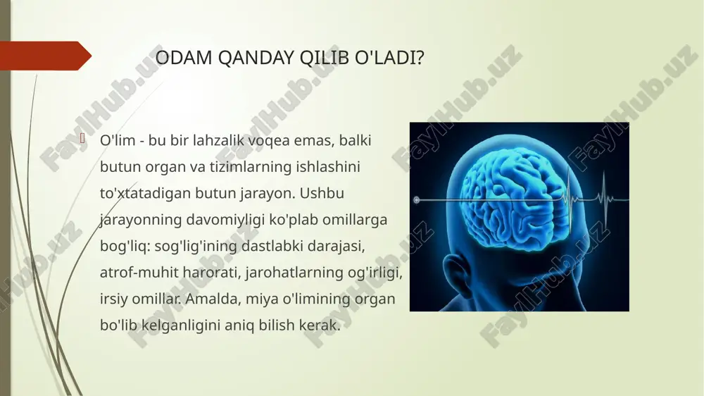 o'lim shifokorlar uchun miya o'limini shaxs uchun halokatli deb hisoblash mumkin. aslida miya ikkita asosiy qismdan iborat: yarim shar va miya sopi. gemisferlar yuqori nerv vazifalariga javob beradi: nutq, fikrlash, xotira, mantiq va hissiyotlar. bu funktsiyalarni yo'qotish qon tomiriga duch kelgan odamlarda ko'rinadi: nutq va ko'z yosh bo'lmasligi - yarim sharni qon bilan yo'q qilish oqibatlari. siz shikastlangan yarim sharlar va uzoq vaqt davomida yashaysiz. qachon miya o'ladi? miya ildizlari vafot etganda. miya bir zumda ham o'lmaydi. butun organizm uchun umumiy qoidalar mavjud: keyinchalik evolyutsiya jarayonida paydo bo'lgan organlar avval o'ladi. bu qoida miyaga tegishli. hemisferlar - yoshroq shakllanishlar - o'lik xavf ostida bo'lgan davrda yanada zaifroq. ular oldin kislorod etishmasligidan o'ladi. agar vaziyatning jiddiyligi juda chuqur bo'lsa va reanimatsiya choralari samarasiz bo'lsa, to'liq miya o'limi bir necha daqiqada yuz beradi. e’tiboringiz uchun rahmat ! image1.jpeg image2.jpeg image3.jpeg