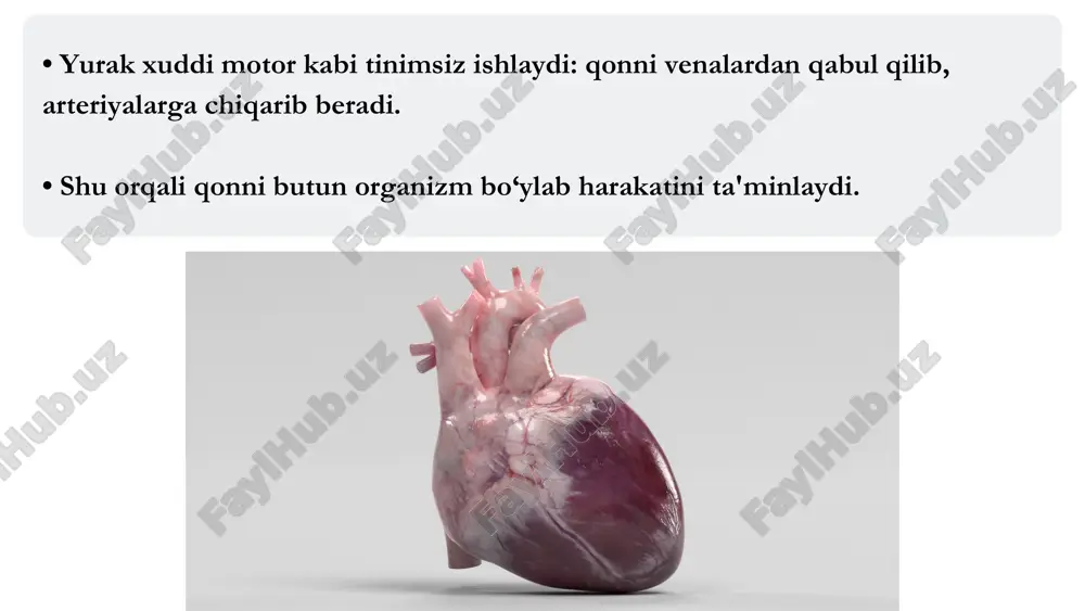 a ega emas. aorta oʻpka venalari chap boʻlmacha chap qorincha oʻng qorincha pastki kovak vena yuqori kovak vena oʻpka poyasi oʻng boʻlmacha • bizning online kurslarimizda yanada ko‘proq va sifatli ma'lumotlarni ustozlar nazorati ostida, ularning ko‘magida tartib bilan o‘qib o‘rganishingiz mumkin. • batafsil ma'lumot olish uchun administrator: ga murojaat qiling yoki telegram kanalimiz orqali biz bilan bogʻlaning: @dofamin_admin @dofamin_jamoasi e'tiboringiz uchun rahmat!e'tiboringiz uchun rahmat! @dofamin_jamoasi@dofamin_jamoasi@dofamin_jamoasi@dofamin_jamoasi @dofamin_jamoasi@dofamin_jamoasi ijtimoiy tarmoqdagi sahifalarimizga obuna boʻling!ijtimoiy tarmoqdagi sahifalarimizga obuna boʻling!