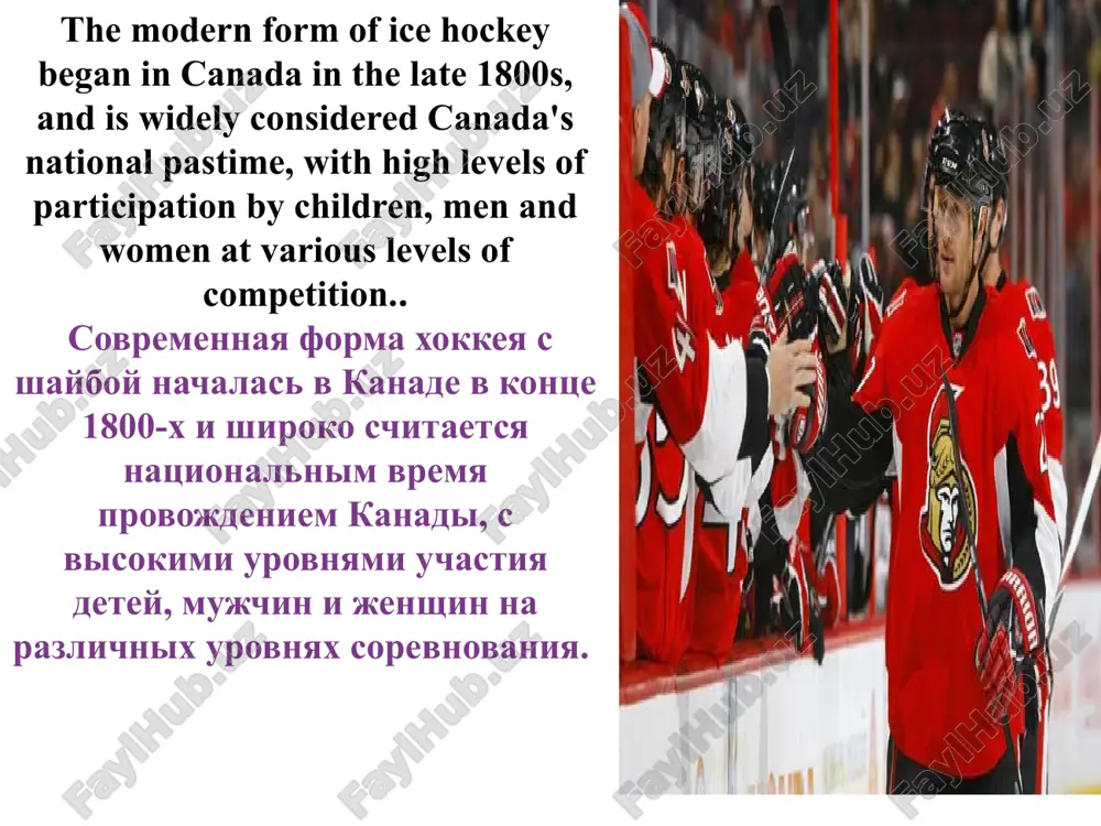 ice hockey - Page 3