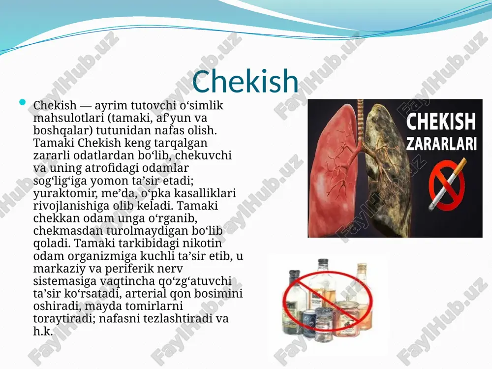 chekish - Page 3