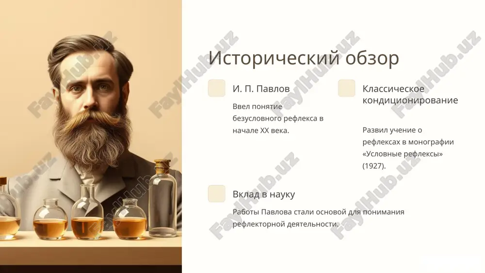 безусловные и условные рефлексы - Page 3