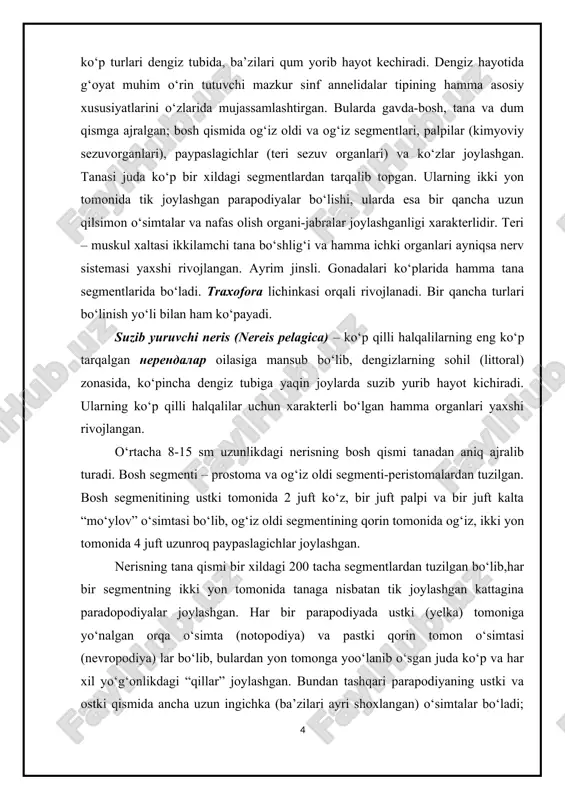 gi 200 tacha segmentlardan tuzilgan bo‘lib,har bir segmentning ikki yon tomonida tanaga nisbatan tik joylashgan kattagina paradopodiyalar joylashgan. har bir parapodiyada ustki (yelka) tomoniga yo‘nalgan orqa o‘simta (notopodiya) va pastki qorin tomon o‘simtasi (nevropodiya) lar bo‘lib, bulardan yon tomonga yoo‘lanib o‘sgan juda ko‘p va har xil yo‘g‘onlikdagi “qillar” joylashgan. bundan tashqari parapodiyaning ustki va ostki qismida ancha uzun ingichka (ba’zilari ayri shoxlangan) o‘simtalar bo‘ladi; bular jabralar-nafas olish organlaridir. bir oz ingichkalashgan dum segmentlarining oxirida, ko‘pincha, bir juft o‘simta bo‘lib, anal teshigi qorin tomoniga ochilgan. terining ustki qismi qalin kutukula bilan qoplanib teri muskul xaltasi yaxshi rivojlangan. epiteliyasidagi pigment ho‘jayralari nerislar (va boshqa ko‘p qillilar) ning tanasini yashil, sarg‘ish, qizg‘ish va boshqa ranglarda bo‘lishini muvofiqlashtiradi. to‘rt qator cho‘ziq muskullari yaxshi taraqqiy etgan. har bir segmentning ikkilamchi tana bo‘shlig‘i dissepiment pardalari bilan ajralib turadi. hazm organlarining tuzilishida katta halqum, oshqozoning ostki qismidan ajralib, pastga yo‘nalgan bir juft ko‘richak o‘simtalarning bo‘lishi harakterlider. qon …