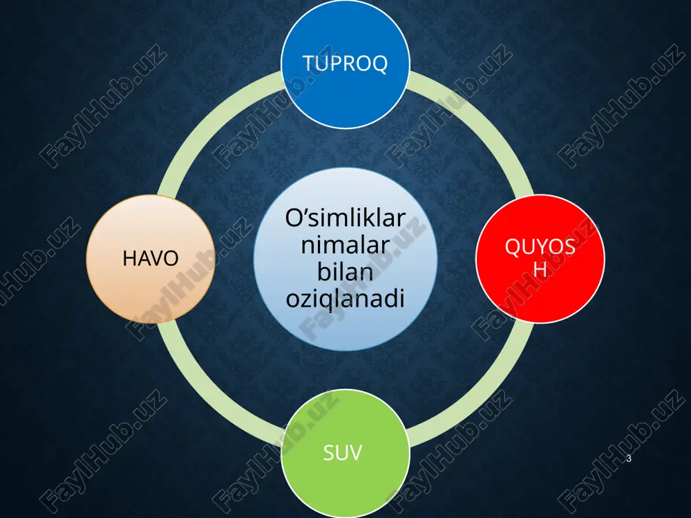 o'simliklar qulupnay - Page 3