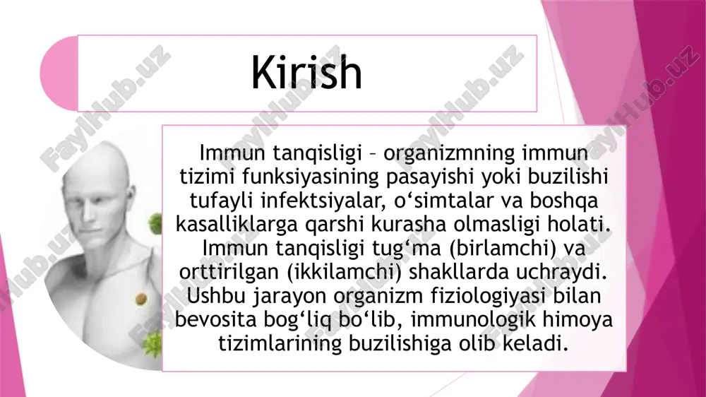 kuzatiladi. • misollar: severe combined immunodeficiency (scid) – t- va b-limfotsitlar yetishmovchiligi. digeorge sindromi – timusning rivojlanmaganligi tufayli t-hujayralar kamayishi. orttirilgan immun tanqisligi hayot davomida turli omillar ta’sirida immunitetning pasayishi kuzatiladi. • sabablari: • virusli infektsiyalar: oiv (odam immun tanqisligi virusi) – orttirilgan immun tanqisligi sindromi (oits) sababchisi. • ovqatlanish buzilishlari: proteinlar va vitaminlar yetishmovchiligi. • surunkali kasalliklar: qandli diabet, buyrak yetishmovchiligi. • dori vositalari: kortikosteroidlar, immunosupressantlar. • stress va radiatsiya: surunkali stress va radiatsiya immunitetni pasaytiradi. • misollar:oits – oiv infektsiyasi t-helper limfotsitlarini yo‘q qilib, organizmni infektsiyalarga qarshi kurashdan mahrum qiladi. saraton kasalliklari – immunitetni bostiruvchi o‘simtalar. 3. immun tanqisligi mexanizmlarining fiziologik asoslari hujayraviy immunitetning buzilishi • t-limfotsitlar yetishmovchiligi hujayra orqali himoyani zaiflashtiradi. • t-hujayralar timusda ishlab chiqariladi, shu sababli timus faoliyatining pasayishi immunitet zaiflashuviga olib keladi. • natija: virusli, qo‘ziqorinli infektsiyalar ko‘p uchraydi. gumoral immunitetning buzilishi • b-limfotsitlar va plazmatik hujayralar antitelalar (immunoglobulinlar) ishlab chiqarishda ishtirok etadi. • …