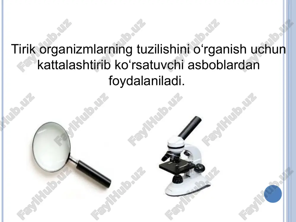 linzalar sistemasidan iborat, buyum stolchasi tagiga joylashgan. kondensorni yuqoriga va pastga siljituvchi maxsus vint mavjud. kondensor ko‘tarilganda yorug‘lik ko'payadi, tushirilganda kamayadi.iris diafragma kondensorga burab o‘rnatilgan, u mayda plastinkalardan iborat, yonidagi maxsus klemma yordamida diafragma teshigini kengaytirish, toraytirish va yorug‘lik miqdorini o'zgartirish mumkin. mikroskopning optik qismiga okular va obyektivlar kiradi. okularlar ko‘rilayotgan obyektni 7x, lox, 15x, 20x marta katta qilib ko‘ rsatadi (kattalashtirish darajasi okularlarda ko'rsatilgan bo‘ladi). okular naysimon shaklda bo‘ lib, uning ikki tomonida linzalar joylashgan. obyektivlar revolver sistemasidagi maxsus o'rindiqlarga joylashgan. obyektivlar buyumni 8 x, 40x, 60x, 90x marta katta qilib ко‘rsatadi.mikroskopning kattalashtirish qobiliyati uning ,,kuchi“ deyiladi. 0‘rganilayotgan buyum qancha kattalashtirilganligini bilish uchun obyektiv ko'rsatkichini okular ko'rsatkichiga ko‘paytirish zarur (masalan 1 0 x 8 = 80, 10 x 40 = 400, 10 x 90 = 900 va hokazo).yorug'lik mikroskopi bir-biridan 0,2 mkm yaqinlikdagi ikki buyumni ajrata oladi, odam ko‘zining ajrata olish qobiliyati 0 ,1 mm, elektron mikroskopniki esa (1 …