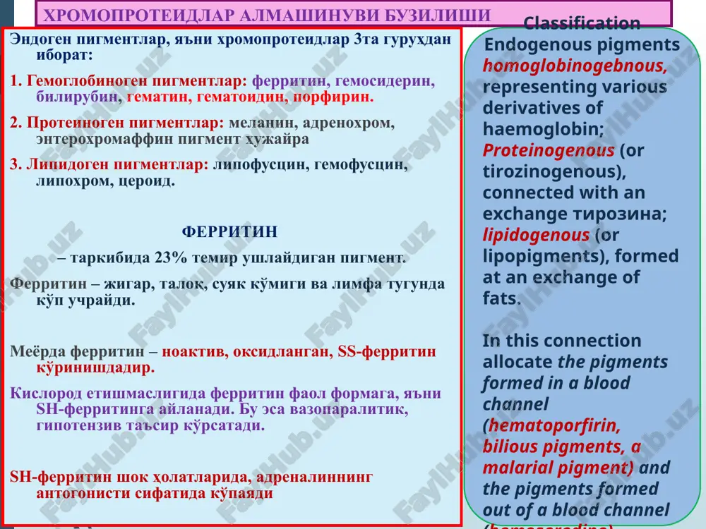 sis, unaerobic infections, a malaria). аралаш дистрофиялар маҳаллий гемосидерозга мисол ўпка гемосидерози. сабаблари: ревматик митрал порок, кардиосклерозда ўпкада қоннинг димланиши. ўпкада сурункали веноз димланиш, томир девори ўтказувчанлигининг ошиши. ўпкага диапедез қон қуйилишлар. альвеолалар оралиғида, томирлар атрофида кўп миқдорда сидеробластларнинг тўпланиши. сидеробластларнинг альвеолалар бўшлиғига тушиши ва балғам билан ажралиши – “юрак пороги ҳужайраси” дейилади. at long venous stagnation in the lungs, arising owing to chronic warm insufficiency, are observed plural diapeptidase hemorrhages. formed thus hemosiderin it is absorbed mononuclear by cages of alveoluses. аралаш дистрофиялар билирубин – ўт-сафро пигменти 1. рэсда эритроцит парчаланиши, гемнинг ажралиши. 2. гем протопорфирин халқаси темирни йўқотиши. 3. биливердин пайдо бўлиши. 4. биливердиннинг оқсил билан қўшилиб боғланган билирубинга айланиши. 5. гепатоцитларнинг глюкурон кислотаси ёрдамида қондан билирубинни олиб ўт капиллярига хайдаши. 6. ундан нажасда стеркобиллин, сийдикда уробилин пайдо бўлиши. билирубин алмашинуви бузилиши – сариқлик (желтуха) дейилади. сариқликнинг 3та формаси мавжуд: 1. гемолитик сариқлик (инфекция: сепсис, безгак, қайталама тиф; …