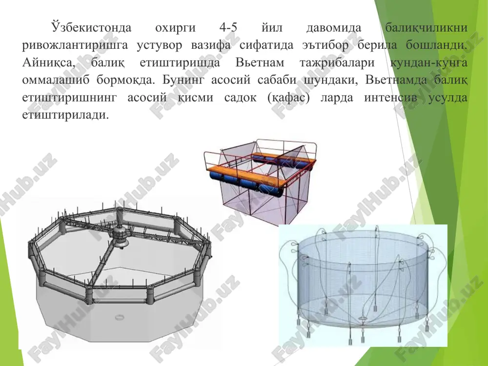 тага етказиб, етиштириладиган балиқ маҳсулотини 270 тоннага, ялпи даромадни 2 миллиард 835 миллион сўмга, кутиладиган соф даромадни 1 миллиард 602,6 миллион сўмга етказишни режалаштириб, иш олиб бормоқда. ушбу лойиҳани амалга ошириш учун жами 1232,6 миллион сўм маблағ, шундан 739,5 миллион сўми корхонанинг ўз маблағидан, 493 миллион сўми иппотека банки кредити ҳисобидан сарфланиши режалаштирилган. садок усулининг афзалликлари нимада? садокда интенсив усулда балиқ етиштиришни афзаллик томонлари шундаки, ҳовуз сувини янгилаб туриш имконияти бўлган ҳар қандай шароитда ҳар бир оила ҳам ташкил этиши мумкин. қолаверса, қишлоқ ва уй шароитида балиқ боқишга имконияти бўлмаган оилалар оилавий тадбиркорлик асосида банклардан кредит олиб, ўз имконияти даражасида садок усулида балиқ етиширишни қўрғонтепа, каркидон ва марказий фарғона сув омборларида алоҳида жойни эгаллаб,режалаштиришлари мумкин. фарғона вилоятидаги табиий сув ҳавзаларининг умумий майдони 4629 га, жумладан: қўрғонтепа сув омбори сув майдони 176 га, сиғими 21 млн куб м. каркидон сув омбори сув майдони 953 га, сиғими 211 млн куб м. марказий …