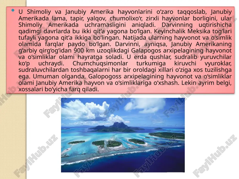 tomonidan takomillashtirildi. bu konsepsiya tarafdorlari odamning paydo bo‘lishida mehnatning konstruktiv rolini ko‘rsatib berishdi. ularning fikricha, qo‘lning, nutqning, miyaning, tafakkurning rivojlanishida, kishilarning o‘zaro hamkorligi va sotsial jamoalarning vujudga kelishida mehnat faoliyati asosiy rol o‘ynaydi. chunkimehnat qilish jarayonida odamlarda mehnat qurollarini takomillashtirish ehtiyoji paydo bo‘ladi. odamlar mehnat qurollarini takomillashtirish jarayonida o‘zlarini ham takomillashtirib borgan. bu jarayon ham tabiiy tanlanish bilan chambarchas bog‘langandir. yangi va samarador, qulay mehnat qurollari esaeskirgan, samaradorligi kam, noqulay mehnat qurollarini siqib chiqaravergan. odamning paydo bo‘lishi haqida turli xil boshqa konsepsiyalar ham mavjud bo‘lib, ular kreatsionistik (teistik) antropologiya nazariyasi, genetik populyasiyali evolyusion nazariya, mutatsiyali evolyusion nazariya, sintetik evolyusion nazariya, saltatsionistik (hayotning vujudga kelishini sakrashlar tarzida aks ettiruvchi) evolyusion konsepsiya, neokatastrofizm konsepsiyalari hisoblanadi. bu nazariy konsepsiyalarda ham insonning paydo bo‘lishiga turli rakurslardan yondashilgan. bu konsepsiyalarning mualliflari ch.darvinning konsepsiyasini turli tarafdan rad etishga intilishgan. ch.darvinning evolyusion nazariyasi organik olam taraqqiyotining umumiy mexanizmini ochib berishda muhim rol o‘ynaydigan fundamental asoslarga ega bo‘lgan …