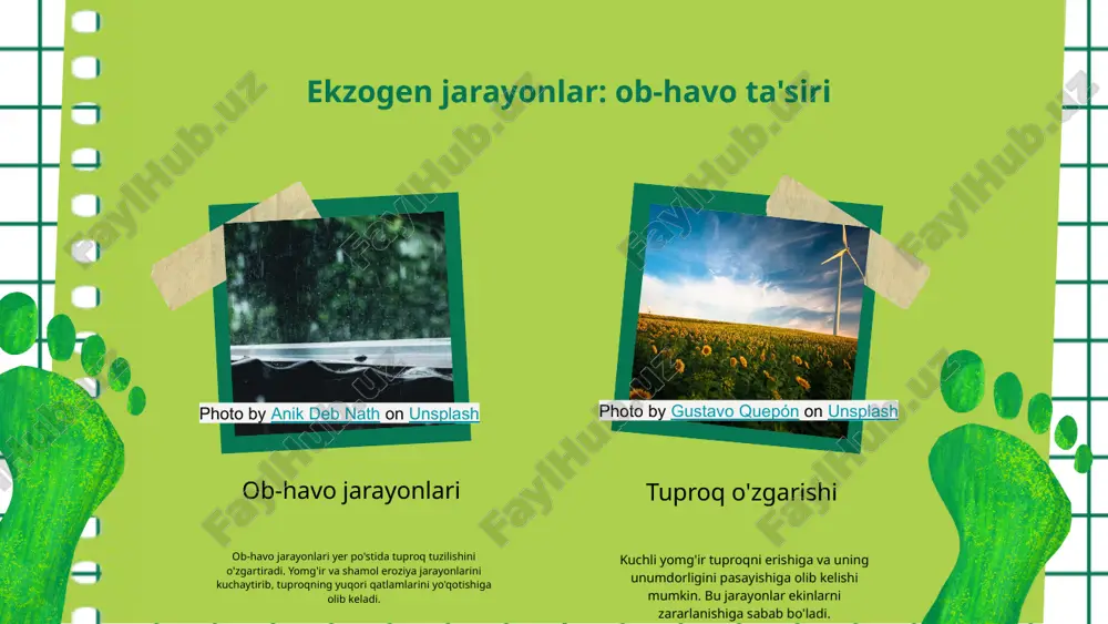 unsplash endogen jarayonlarning ahamiyati endogen jarayonlar yer yuzasidagi o'zgarishlarni belgilovchi jarayonlardir. ular yerning ichki qismida sodir bo'lib, yer silkinishlari, vulqonlar va boshqa geologik hodisalar natijasida yuzaga keladi. masalan, 2011 yilda yaponiyada sodir bo'lgan tokiyo yaqinidagi yer silkinishi, minglab odamlarning hayotini o'zgartirdi va iqtisodiy zarar keltirdi. bunday hodisalar ijtimoiy va iqtisodiy ahamiyatga ega bo'lib, tabiiy resurslar va infratuzilma rivojlanishiga ta'sir qiladi. shu bilan birga, endogen jarayonlar xavflarni ham keltirib chiqaradi, ularning natijasida tabiiy ofatlar yuzaga kelishi mumkin. bu jarayonlar odamlar va iqtisodiyot uchun imkoniyatlar va xavflarni bir vaqtning o'zida yaratadi, shuning uchun ularni to'g'ri tushunish va boshqarish muhimdir. jarayonlar o'rtasidagi o'zaro bog'liqlik ekzogen va endogen jarayonlar yer po'stida muhim rol o'ynaydi. ularning farqlari va o'xshashliklari, shuningdek, o'zaro ta'siri, yerning shakllanishida katta ahamiyatga ega. ushbu jarayonlar bir-birini to'ldiradi va geologik tuzilmalar paydo bo'lishiga olib keladi. farqlar va o'xshashliklar ekzogen jarayonlar tashqi ta'sirlardan kelib chiqadi, endogen jarayonlar esa ichki kuchlardan. har ikkisi ham …