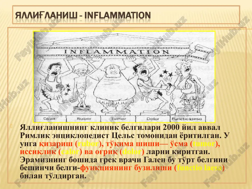 касалликларда (ич терлама, тошмали терлама, чин бод, бруцеллоз, актиномиков) учрайди. гранулема диаметри одатда 1-2 мм дан ошмай, баьзан 2 см гача бўлиши мумкин.гранулема марказида парчаланган хужайралар ва тўқималар некрози (детрит) кўрилади. полиплар ва ўткир учли кандиломалар хосил бўлиши билан борадиган продуктив яллиғланиш шиллиқ пардаларда ва шу пардалар билан чегарадош ясси эпителейда кузатилади. лимфоцит плазмоцит гистиоцит фиброцит эпителиоид ҳ томир эндотелийси кўпайиши пирагов-ланганс гигант ҳужайраси ёт таначи гигант ҳужайраси * интерстициал яллиғланишнинг дастлабки даври 1.интерстициал пневмония 2. интерстициал гепатит 3.интерстициал миокардит 1. пневмосклероз 2. жигар циррози 3. кардиосклероз гранулематоз яллиғланишнинг макро- ва микроскопик белгилари ўпка, милиар сил тугунлари ўпка, сил тугунчаси юрак, ревматик тугунча сут бези, гел атрофидаги склероз сут бези, силикон атрофидаги склероз меъда, полиплар (макро-) меъда, полит (микро-) 1. хар бир махсус яллиғланиш турининг ўз қўзғатувчиси бўлади. 2.специфик яллиғланишда пролифератив тўқма реакцияси устун туради ва хар хил касалликка хос гранулемалар пайдо бўлади. 3.некроз келиб чиқади: агар тўқимада альтератив реакция …