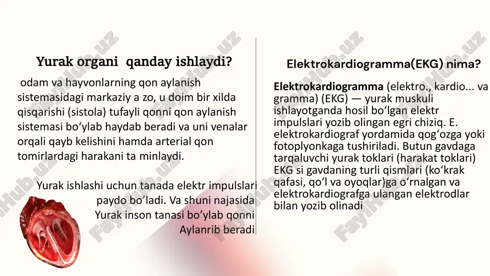 yo'q qilish uchun tarmoqli filtrlash qo'llaniladi. tarmoqli ekg filtri 5 hz pastroq kesish chastotasiga va 40 hz yuqori to‘lqin uzunligiga ega. qrs kompleksini aniqlash qrs kompleksi ekg signalining eng muhim elementi. bunday qrs kompleksi uchun qrs kompleksining boshlanishi va tugashi, shuningdek, p va t to'lqin shakllari aniqlanadi. aksariyat qrs tanib olish algoritmlari, asosan, chegara qiymatiga asoslangan o'rtacha ko'rsatkichdan keyingi filtrlash bosqichiga asoslanadi. ushbu chegara fon va qrs kompleksini farqlash uchun ishlatiladi va ekg signalining yuqori pozitsiyasiga asoslanadi. mashinani o'rganishga asoslangan boshqa usullar qatoriga ma'lumotlarning uzilishidan kelib chiqadigan davriylikni aniqlashning kuchli usuli bo'lgan p-spektr usuli kiradi. signalni filtrlash ekg signallari statsionar edi, ya'ni rezonans chastotasi ma'lum vaqt oralig'ida o'zgarib turadi. shuningdek, ekg signalini ifloslantiruvchi shovqin va ob'ektlar vaqtga bog'liq bo'lgan ehtimollik zichligi bilan chiziqli bo'lmagan. vaqtni lokalizatsiya qilish an'anaviy furye o'zgartirish texnikasi bilan mumkin emas, lekin dwt bilan mumkin. natijada, dwt statsionar bo'lmagan signallar bilan ishlash qobiliyatiga ega [18]. birinchi qadam …