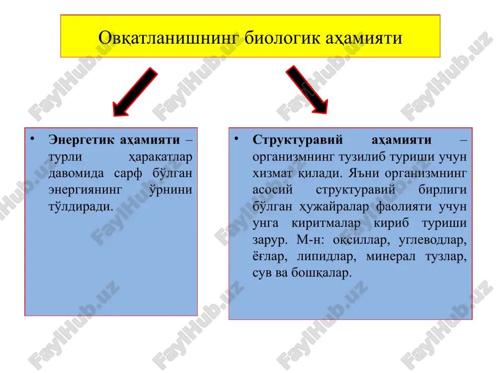 лар осон юқади суяклар мўрт бўлиб қолади киши қонсизланади. витаминларнинг асосий гуруҳлари витаминлар номи қайси маҳсулотларда бўлиши етишмаганда қандай асоратларга олиб келиши витамин д (рахитга қарши витамин) балиқ мойида, тухум сариғида, пиво ачитқисида, мол жигарида, сариёғда кальций тузи алмашинуви бузилади рахит касаллиги пайдо бўлади. бу касаллик асосан ёш болаларда учрайди. бундай болаларнинг тиши кеч чиқади, оёқ суяклари мўрт бўлади, кўкрак қафасининг шакли ўзгаради мускул кучи камаяди. витамин к исмалоқ, каштан барглари, соя, хом помидор, қуруқ беда, қичитқон, салат, янги карам, сабзи, қарағай баргларида, чўчқа баргларида чақалоқ болалар бадани қонашига сабаб бўлади. витаминларнинг асосий гуруҳлари витаминлар номи қайси маҳсулотларда бўлиши етишмаганда қандай асоратларга олиб келиши витамин е ўсимлик мойлари ва уруғларида мускуллар ривожланишдан орқада қолади, заифланади қоннинг ивишига салбий таъсир кўрсатади организмнинг ривожланиши сустлашади, ўсиш секинлашади ёки тўхтаб қолади нерв системасининг фаолияти бузилади. демак, организмнинг нормал фаолияти учун, орган, тўқима, ҳужайраларнинг ўсиши, тараққий этиши ва ишлаши учун етарли миқдорда витаминлар бўлиши …