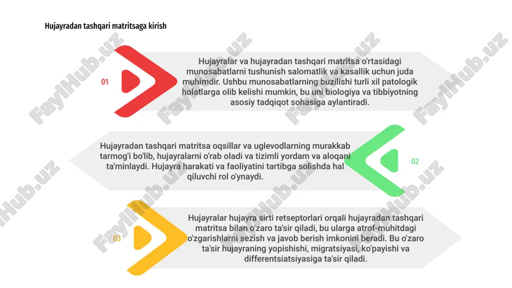 lig'lanish kasalliklari kabi patologiyalarga yordam berishi mumkin. hujayralar va ecm o'rtasidagi murakkab munosabatlarni tushunish maqsadli terapevtiklarni ishlab chiqish uchun juda muhimdir. hujayradan tashqari matritsa tizimli yordam va signal signallarini ta'minlash orqali hujayra xatti-harakatlarini tartibga solishda hal qiluvchi rol o'ynaydi. hujayraning yopishishi, ko'chishi, ko'payishi va differentsiatsiyasiga ta'sir qiladi. 1 hujayralar hujayradan tashqari matritsa bilan integrinlar va boshqa hujayra yuzasi retseptorlari orqali aloqa qiladi, ular matritsadan hujayraga signallarni uzatadi. bu o'zaro ta'sir turli xil hujayra jarayonlari va javoblariga ta'sir qiladi. 2 hujayradan tashqari matritsaning tarkibi va xususiyatlarining o'zgarishi hujayralar xatti-harakatlariga ta'sir qilishi mumkin, bu esa to'qimalarning rivojlanishi, gomeostazi va kasallikning rivojlanishidagi o'zgarishlarga olib keladi. 3 03 hujayradan tashqari matritsa (ecm) hujayralar uchun tizimli yordam va signal signallarini ta'minlaydi. hujayra-ecm munosabatlarining buzilishi normal hujayra funktsiyalarini buzishi mumkin. 02 saraton va fibroz kabi kasalliklarda hujayra-ecm o'zaro ta'siridagi anomaliyalar kasallikning rivojlanishiga va to'qimalarning qayta tuzilishiga yordam beradi. kasalliklarda hujayra-ecm munosabatlarining buzilishi 01 hujayra-ecm disregulyatsiyasi mexanizmlarini …