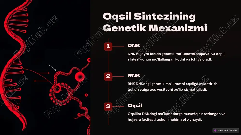 genetik modifikatsiya qilingan mikroorganizmlar yordamida ommaviy ishlab chiqarish mumkin. zaif tomonlar (weaknesses): 1.murakkablik va qimmat narxlar: oqsil biosintezi jarayoni ko'pincha murakkab, ko'p bosqichlardan iborat va yuqori texnologik infrastrukturaga muhtoj. buning natijasida ishlab chiqarish jarayoni qimmat bo'lishi mumkin. 2.resurslar va vaqt: ba'zi hollarda oqsil biosintezi uchun zarur bo'lgan xom ashyo (masalan, amino kislotalar, trna, atp) cheklangan bo'lishi mumkin. bu resurslar va vaqtni tejashni talab qiladi. 3.mikroorganizmlar va qiyinchiliklar: agar mikroorganizmlar yordamida o'simliklar yoki hayvonlarning oqsillari ishlab chiqarilsa, ularning biologik faoliyatini optimallashtirish va nazorat qilish qiyin bo'lishi mumkin. imkoniyatlar (opportunities): 1.qishloq xo'jaligi va farmatsevtika sohasida qo'llanilishi: oqsil biosintezi jarayonini qishloq xo'jaligida ozuqa ishlab chiqarishda yoki farmatsevtika mahsulotlarini ishlab chiqarishda qo'llash mumkin. 2.biyomateriallar va ekologik toza ishlab chiqarish: biotexnologiyaning rivojlanishi bilan oqsillarni ekologik toza va barqaror usullar bilan ishlab chiqarish mumkin. bu yondashuv ekologik zararni kamaytirishi mumkin. 3.yangi oqsil turlari va modifikatsiyalarini yaratish: genetik muhandislik va oqsil biosintezi orqali yangi turlarda oqsillarni yaratish …