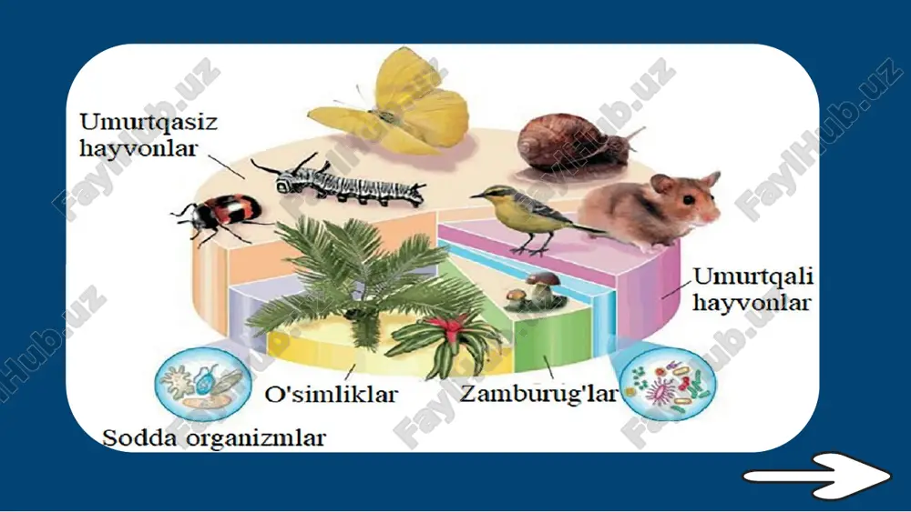 di. kuzatish – bu tabiiy obyekt yoki hodisalarni sezgi organlari yordamida idrok etish. obyekt yoki hodisani kuzatish jarayonida kuzatuvchi jarayonga ta’sir etmagan holda faqatgina natijalarni qayd etadi. uyga vazifa 1. biologiya fani nimani o‘rganadi? 2. bioekolog, ekolog-injener, landshaft dizayneri kabi kasb egalari faoliyati nimadan iborat? 3. biologiya sohasida olib borilayotgan tadqiqotlarning tibbiyot, qishloq xo‘jaligi, oziq-ovqat sanoati, yengil sanoat va boshqa sohalar bilan bog‘liqligini misollar bilan tushuntiring. image1.png image3.png image4.png image2.png image5.png image6.png image7.png image8.png image9.png image10.png image11.png image12.png