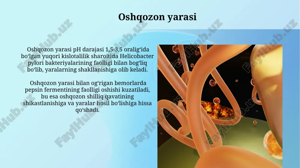entlar neytral ph darajasida (ph 7 atrofida) eng yaxshi ishlaydi, shuning uchun oshqozonning yuqori kislotaligi ularning faolligini sezilarli darajada kamaytiradi. ko'pgina oshqozon fermentlari, masalan, pepsin, optimal faoliyat ko'rsatish uchun juda kislotali muhitni, taxminan ph 1,5-2,0 oralig'ini talab qiladi. antasidlar ta'siri antasidlar oshqozon kislotaliligini ph darajasini 3 dan 5 gacha ko'tarish orqali kamaytiradi, bu ko'plab oshqozon fermentlarining optimal faoliyati uchun muhimdir. antasidlarni qabul qilish natijasida oshqozonning kislotalilik darajasi 2 soat davomida sezilarli darajada pasayishi mumkin, bu ba'zi oziq-ovqatlarning hazm bo'lishiga va fermentlarning faoliyatiga ijobiy ta'sir ko'rsatadi. oshqozon kislotaliligining ta'siri oshqozon kislotaliligining optimal darajasi ph 1,5-3,5 oralig'ida bo'lib, pepsin fermenti faolligini ta'minlaydi, ph ning 4 dan oshishi pepsinning aktivligini sezilarli darajada pasaytiradi. oshqozon kislotaliligining pastligi (gipoatsidlik) pepsinogenning pepsin shakliga o'tishini sekinlashtiradi va shu bilan ovqat hazm qilish jarayonini susaytirib, ovqat hazm bo'lishini 20% ga sekinlashtirishi mumkin. reflü xastaligi reflü xastaligining davolashda, ph ni 5-7 oralig'ida ushlab turish orqali oshqozon fermentlari faoliyatini normallashtirishga …