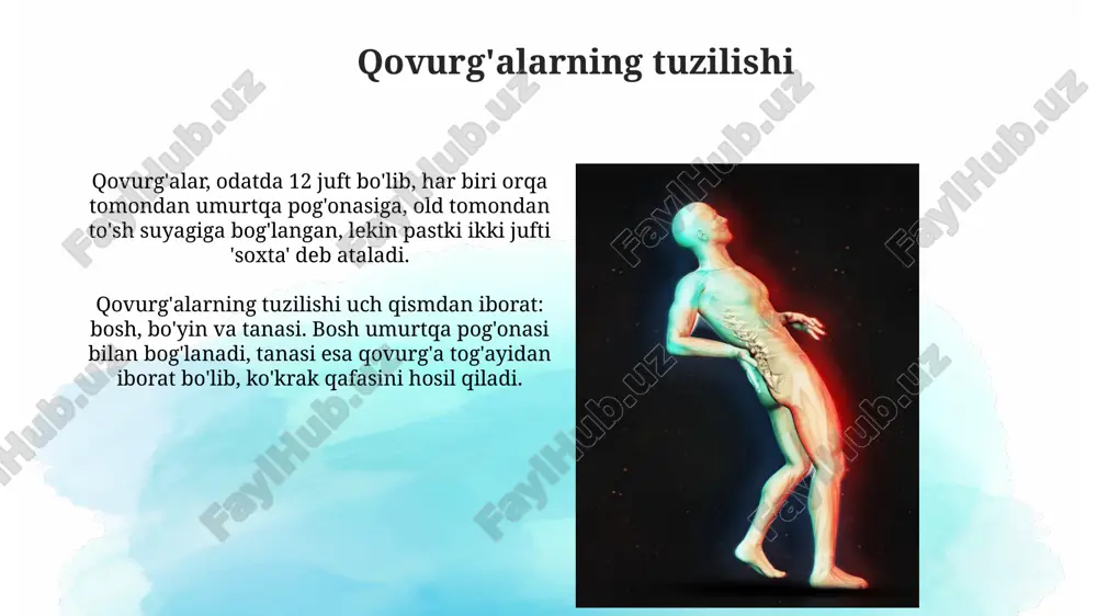 lyoz) ta'sir qilishi mumkin. e'tiboringiz uchun rahmat image2.jpg image3.jpg image4.jpg image5.jpg image6.jpg image7.jpg image8.jpg image9.jpg image10.jpg image11.jpg image1.png
