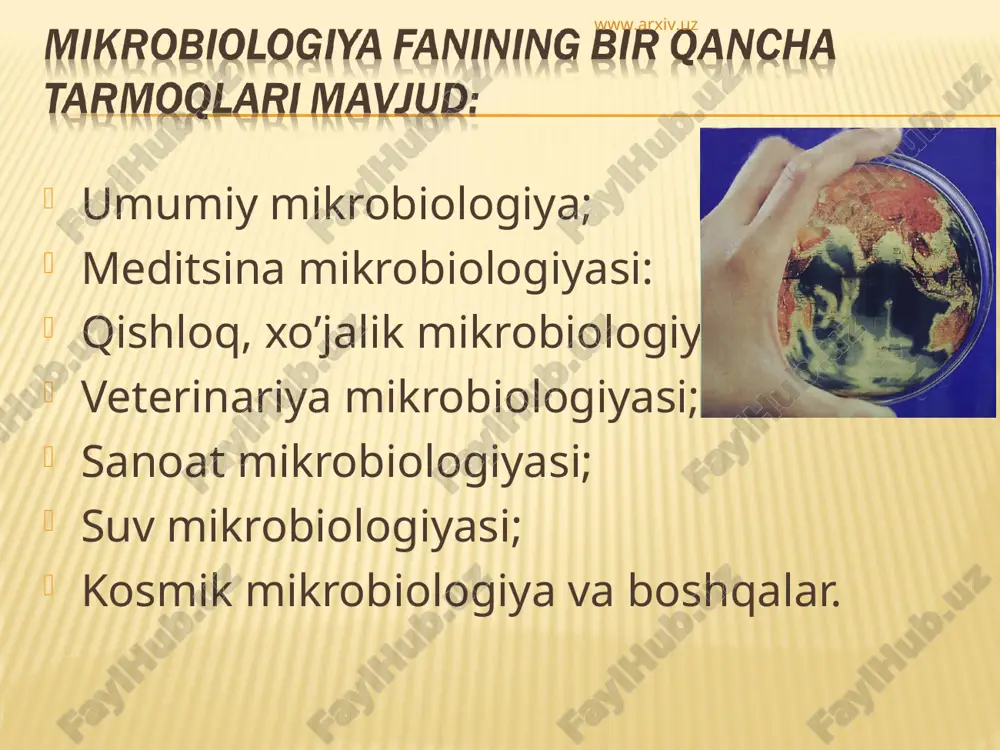 mikrobiologiya - Page 3