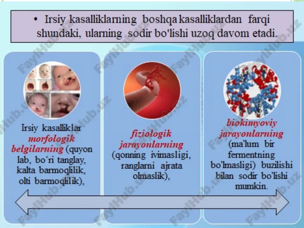 i ular to'la-to'kis barmoqlar bo'lishi mumkin. ko'pincha, aksessuar barmoqlari deformatsiyalanadi, falanjlar soni kamroq bo'ladi bolada simptomatik polidaktiliya bilan ko'pincha boshqa rivojlanish anomaliyalari qayd etiladi - tug'ma yurak nuqsonlari, oyoq -qo'llarining qisqarishi, quloqchalarning deformatsiyasi va boshqalar. gemofiliya a (klassik gemofiliya) - viii koagulyatsion omil oqsilining tug'ma etishmasligidan kelib chiqqan genetik kasallik. gemofiliyaning eng keng tarqalgan shakli (taxminan 80% hollarda) kasallik x xromosomasida retsessiv mutatsiya bilan bog'liq. erkak va homozigot ayollarda uchraydi gemofiliya har 5000 erkakdan bittasida uchraydi. ulardan 85% a va 15% gemofiliya bilan kasallangan gemofiliya bilan og'rigan bemorlarda har xil darajadagi faol koagulyatsion omil bo'lishi mumkin: faol omilning 1% dan kamrog'i og'ir gemofiliya, 1-5% faol omil-o'rtacha gemofiliya, engil gemofiliya-normaning 5-40% diapazoni. qon ivishining faol omil darajasi gemofiliya b (rojdestvo kasalligi) - ix koagulyatsion omil etishmasligidan kelib chiqadigan irsiy qon kasalligi, uning asosiy namoyonlari takroriy qon ketishdir. gemofiliya b bilan kasallanish 25-30 ming yangi tug'ilgan o'g'illardan biridir. bundan tashqari, gemofiliya b …