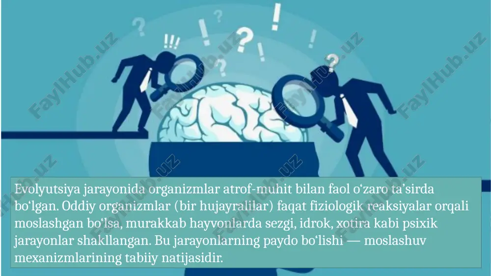 v tizimi; insonda — miyaning po‘stlog‘i yuqori darajada rivojlangan. organizmning psixik faoliyati atrof-muhit bilan o‘zaro ta’sirda shakllanadi. muhit o‘zgarishi, iqlim, ijtimoiy hayot, madaniyat psixik taraqqiyotning tashqi omillaridir. shuning uchun inson psixikasini jamiyatdan ajratib o‘rganish mumkin emas. 20 xulosa psixikaning evolyutsiyasi — bu biologik, ijtimoiy va madaniy omillar birligida kechgan murakkab jarayondir. u organizmlarning moslashish, o‘rganish va ongli faoliyatga o‘tish qobiliyatlarini shakllantirdi. inson psixikasi esa, ong va o‘z-o‘zini anglash orqali eng yuqori rivojlanish bosqichiga erishdi. 21 image3.png image4.svg image13.jpg image14.jpeg image5.png image6.svg image7.png image8.svg image15.jpeg image11.png image12.svg image16.jpeg image17.jpeg image18.jpeg image19.jpeg image20.jpeg image21.jpeg image22.jpeg image23.png image24.jpg /docprops/thumbnail.jpeg