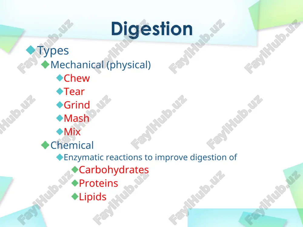 digestive system - Page 3