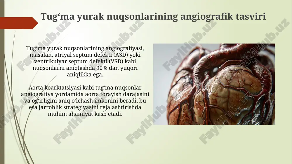 yurakning rivojlanish nuqsonlari - Page 3