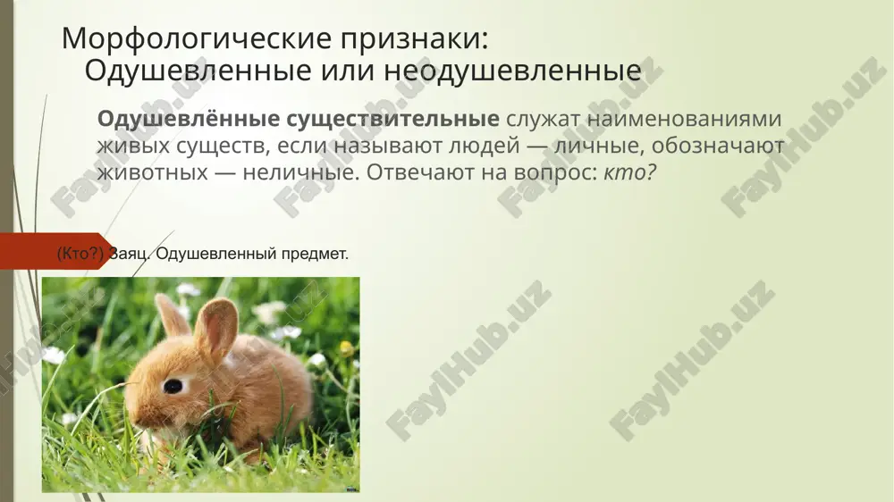 общего рода, которые способны служить экспрессивными названиями лиц и мужского, и женского пола (плакса, недотрога, молодчина, выскочка, хапуга). грамматическое значение рода создаётся системой падежных окончаний данного существительного в единственном числе (таким образом, род существительных различают только в единственном числе). рожь(она)- ж. р. кофе(он)- м. р. солнце(оно)- ср. р. разносклоняемые имена существительные к разносклоняемым относятся десять существительных на -мя (бремя, время, семя, темя, пламя, стремя, знамя, племя, имя, вымя) и слово путь. существительные на -мя и слово путь в р. д. и п. падежах ед. ч. имеют окончание -и, как существительные iii склонения, а в т. падеже – -ем (-ём), как существительные ii склонения. особенностью этой группы существительных является наличие перед окончанием во всех падежах, кроме и. и в. падежей ед. ч., суффикса -ен (-ён), а в формах семян, стремян – суффикса -ян. пламя несклоняемые имена существительные некоторые существительные не изменяются по падежам (не склоняются). они имеют для всех падежей одну …