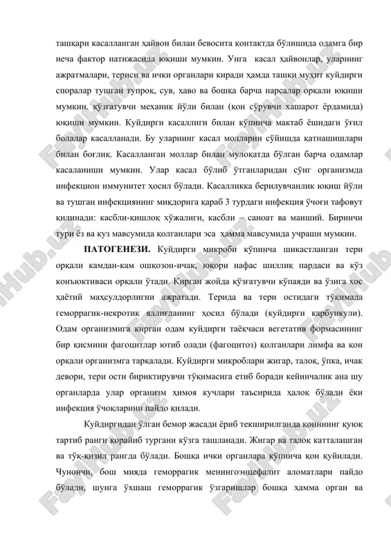 дан то 14 кунгача, кўпинча 2-3 кун давом этади. касаллик маҳаллий (тери) ёки тарқоқ (септик) шаклда учрайди. тери шакли куйдиргида 98-99% учрайди. кўпинча карбункулёз шакли учрайди, камдан-кам эдематоз, буллёзли ва эризипелоидли шаклларида учрайди. асосан терининг очиқ қисмлари зараланади. асосан касалликнинг карбункул шакли бошда, буғинда, оғизда ва бурун шиллиқ қаватларида оғир ўтади. одатда карбункул бир дона айрим ҳолларда эса 10-12гача бўлиши мумкин. касаллик қўзғатувчиси кирган жойда аввало доғ пайдо бўлади, сўнгра қизил тугинча ҳосил бўлади ва у тез орада пуфакчага айланади. пуфакчанинг ичида қонаралаш сероз суюқлик бўлади. сўнгра пуфакча ёрилади ва унинг ўрнида яра пайдо бўлади. бу яра тезда қотади, қурийди ва қўнғир рангли қўтир билан қопланади. бу оғриқ бермасдан аста-секин катталашиб боради. қора қўтир атрофида майда пуфакчалар пайдо бўлиб болалайди. бу куйдиргига хос бўлган белги. карбункула атрофида шиш пайдо бўлади. карбункулларнинг диаметри бир неча миллиметрдан 10 миллиметргача бўлиши мумкин. карбункулнинг пайдо бўлиш жойига қараб перефирик лимфа тугинлари ҳам ишади. юзда …