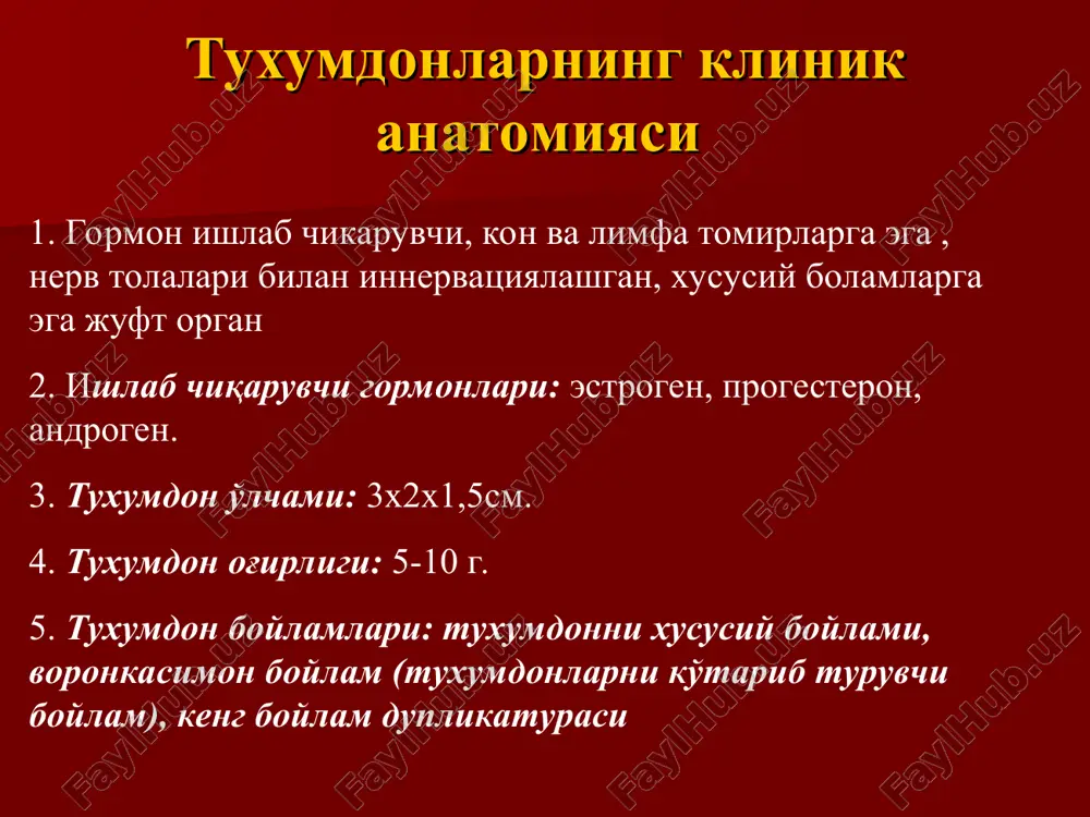 дли киста) - бир томонлама бўлиб, юзаси силлиқ, оёқчалари ҳисобига ҳаракатчан бўлади. кесиб кўрилганда ичида соч, тиш, ёг тўпламларини аниқланади. сало волосы етилган тератома (дермоидли киста) етилган тератома (дермоидли киста) дисгерминома текобластома (етилмаган тератома) гормонактив ўсмалар гранулёз хужайрали ўсма – эстероген ишлаб чиқаради. клиникада феминизация белгиларини намоён қилади. андробластомалар – андроген гормонларини ишлаб чиқарувчи ўсма. клиникада маскулинизация белгиларини намоён қилади. текома – бир томонлама бўлиб, клиникада организм бўшлиқларида суюқлик тўпланиши билан характерланади. мейц триадаси – текома, гидроторакс, асцит, анемия гранулез хужайрали тухумдон ўсмаси андробластома тухумдон текома ўсмаси тухумдон ўсмалари клиник белгилари бессимптом кечиши клиник белгилари оғриқ синдроми ҳайз циклининг бузилиши қўшни аъзолар фаолиятининг бузилиши репродуктив фаолиятнинг бузилиши хирургик даво қўшни аъзоларга ўсиб кирмаган, метастаз бермаган ҳолларда - аднексэктомия. ёмон сифатли ўсмага малигнизацияланганда, метастаз берганда – бачадонва бачадон ортиқлари ампутация ёки экстирпацияси. ҳар икки ҳолатда гистологик текширувдан кейин якуний диагноз қўйилиб, ўсма тури аниқланади хулоса хулоса эътиборингиз учун рахмат