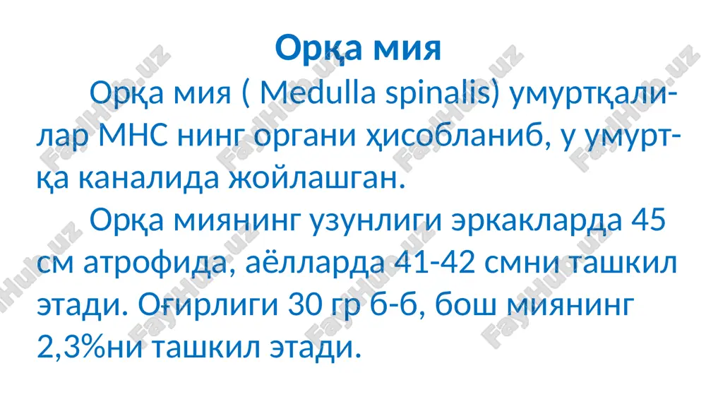 ўрталарида таклиф этилган. орқа мия функциялари 1. ўтказувчи 2. рефлектор орқа миянинг рефлектор функцияси таъсирга нерв системасининг жавоб реакциясини бериши билан тушунтирилади (кулранг модда). орқа мия ўтказувчи функцияси импульсларнинг тери, шиллиқ қават, ва ички органлардан бош мияга ва аксинча ўтказилиши билан тушунтирилади (оқ модда). орқа мия асосий рефлексларининг синфланиши рефлекслар гуруҳларининг номланиши рефлекслар турлари вегетатив сийдик чиқариш дефекацион терлаш томир рефлекслари ва бошқалар. ҳаракатлантирувчи тери-мушак: анал; кремастер; товон; қорин рефлекслари. проприоцептив: пай (ахиллов, тизза ва бошқ.); миостатик; тоник. висцеромотор рефлекслар. № рефлекслар номланиши таъсирлаш усули рефлектор реакция характери рефлексда қатнашадиган нейрон жойлашган жойи пай проприорецептив рефлекслари: 1 букувчи-тирсак (бицепс-рефлекс) елка иккибошли муску-ли пайига болғача б-н уриш (қўл тирсак соҳа-сида бироз букилган) елка иккибошли мускулининг қисқариши ва қўлнинг букилиши орқа миянинг v-vi бўйин сегментлари 2 тизза тизза қопқоғи пастига соннинг тўртбошли мускули пайига болғача б-н уриш сон тўртбошли мускулининг қисқариши ва оёқнинг ёзилиши ii-iv бел сегментлари 3 ахиллов ахиллов пайига уриш …