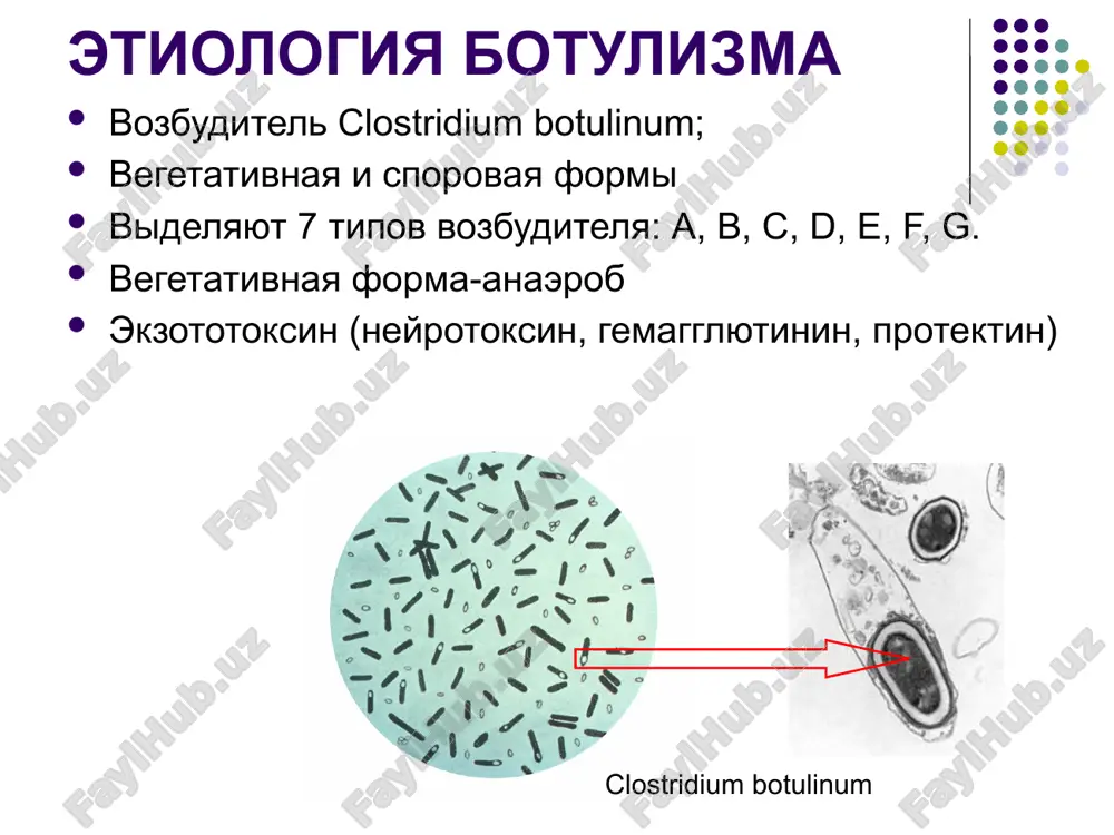 ботулизм - Page 3